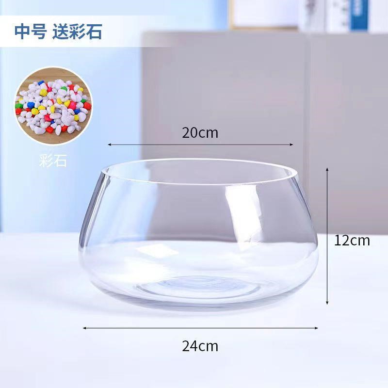 乌龟饲养b缸室外乌龟饲养缸乌龟和小鱼饲养缸意玻璃鱼缸小型客厅