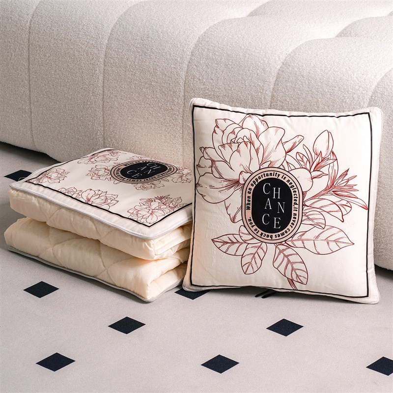 抱枕被子两用四季午睡枕头被空调靠枕折叠毯子二合一W轻奢简约现