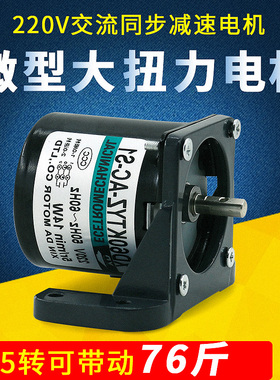 低速微型 交流220V/60KTYZ永磁同步电机/减速电机/14w15转5转马达
