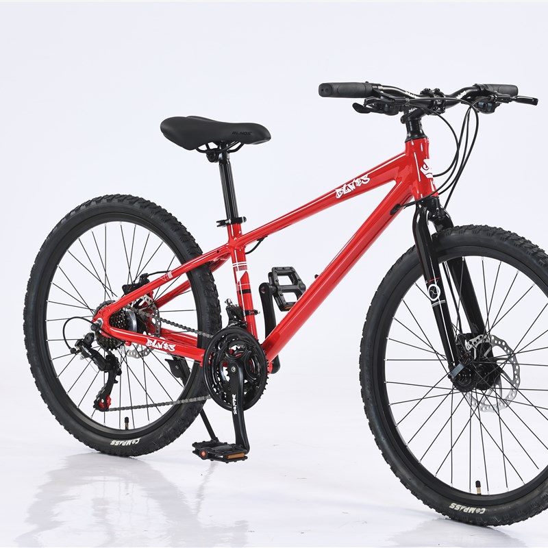 全铝合金24h寸山马款21速变速车架前叉高端补土处理