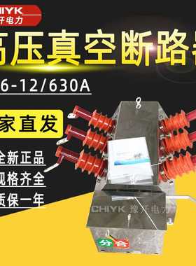 ZW6-12/630A户外高压真空断路器10kV不锈钢柱上高压开关ZW8断路器