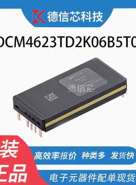 DCM4623TD2K06B5T00 2322 封装DIP DC-DC转换器芯片 全新现货