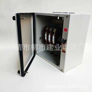 25A50A63A80A100A防雨型封闭式 熔断器负荷铁壳开关 160 SHK2R