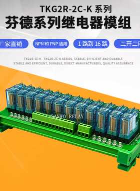 12路芬德继电器模组模块 DC24V SANWO RELAY 40.52  两开两闭