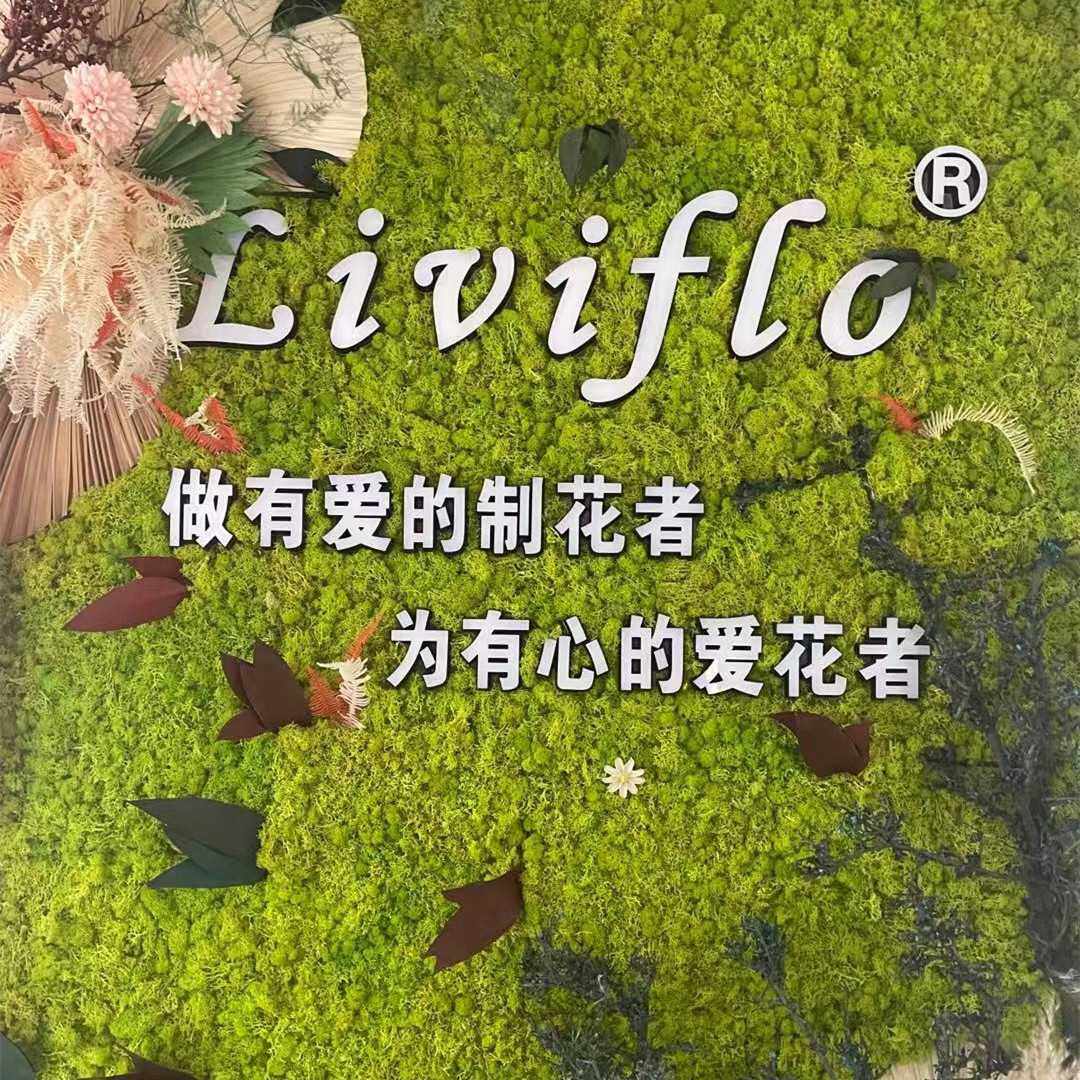 花者家居 办公室人造永生植物装饰墙 微景观绿植 永生苔藓板