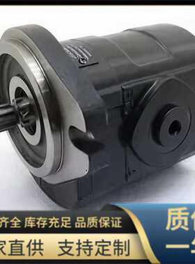 KP30.56 系列 凯斯帕齿轮泵,国产 CASAPPA型 液压泵