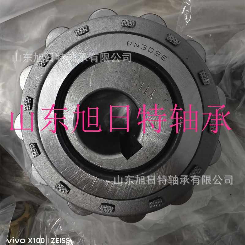 RN309E-11Y  XRT减速机轴承   XRT减速机整体偏心轴承