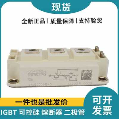 原装原标SKM300GB124D  SKM200GB124D SKM100GB124D功率igbt模块