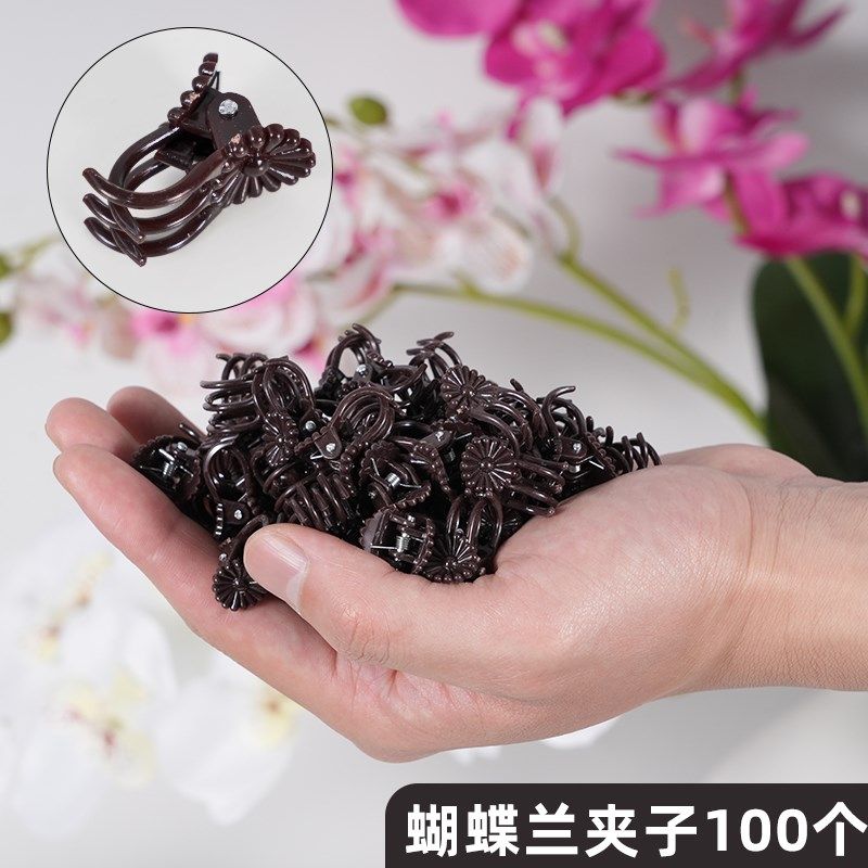 蝴蝶兰支架兰花植物支撑杆蝴蝶兰夹子园艺专用花架花卉防倒伏固定