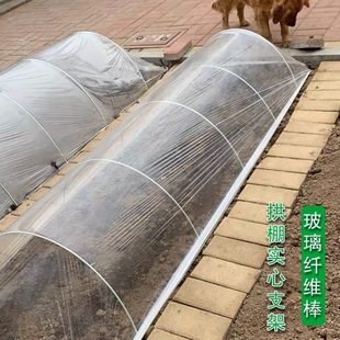 大棚骨架内棚温室塑料棚支架小拱棚拱杆蔬菜农业小工棚弹力棒玻纤