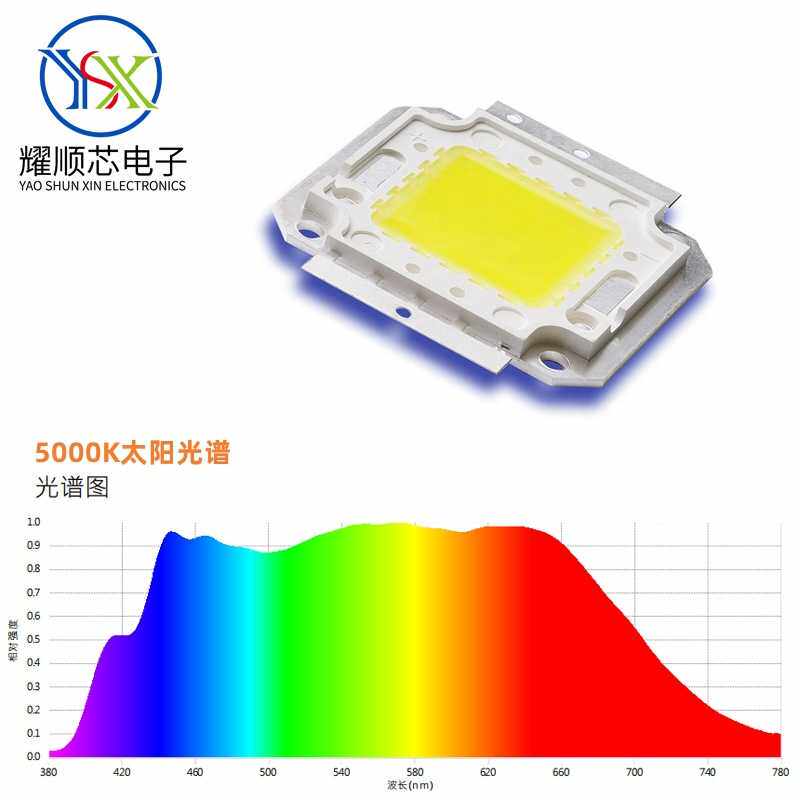 潜艇灯游轮灯用LED 大功率30W集成灯珠 自然光太阳全光谱le