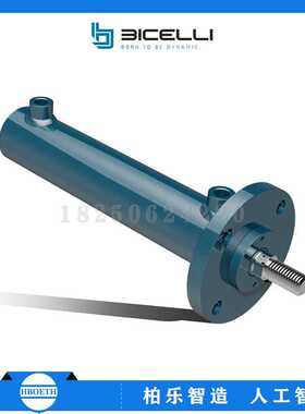 意大利BICELLT 液压缸 小型双向油缸BTF/BIN/BFF/025016.0050