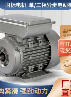 YS系列0.37kw/0.55KW三相异步铝壳电机交流马达微型电动机380单项