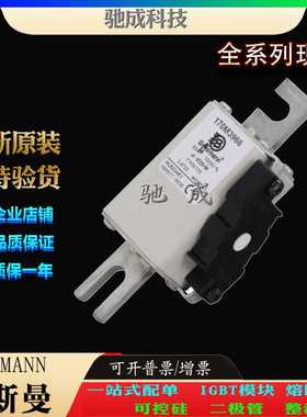 巴斯曼170M3973 170M3974 170M3975 厂价供应 销售 快速保险丝