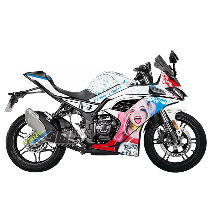 适用隆鑫无极250RR贴纸全车防水E贴花改装个性版画保护膜改色车衣