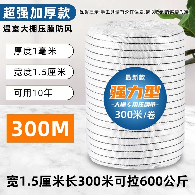 大棚专用压膜线压膜绳白色涤纶加厚压膜线压棚P拉树枝绳子温室强