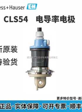 E+H恩德斯豪斯 电导率电极CLS54-ACS1022