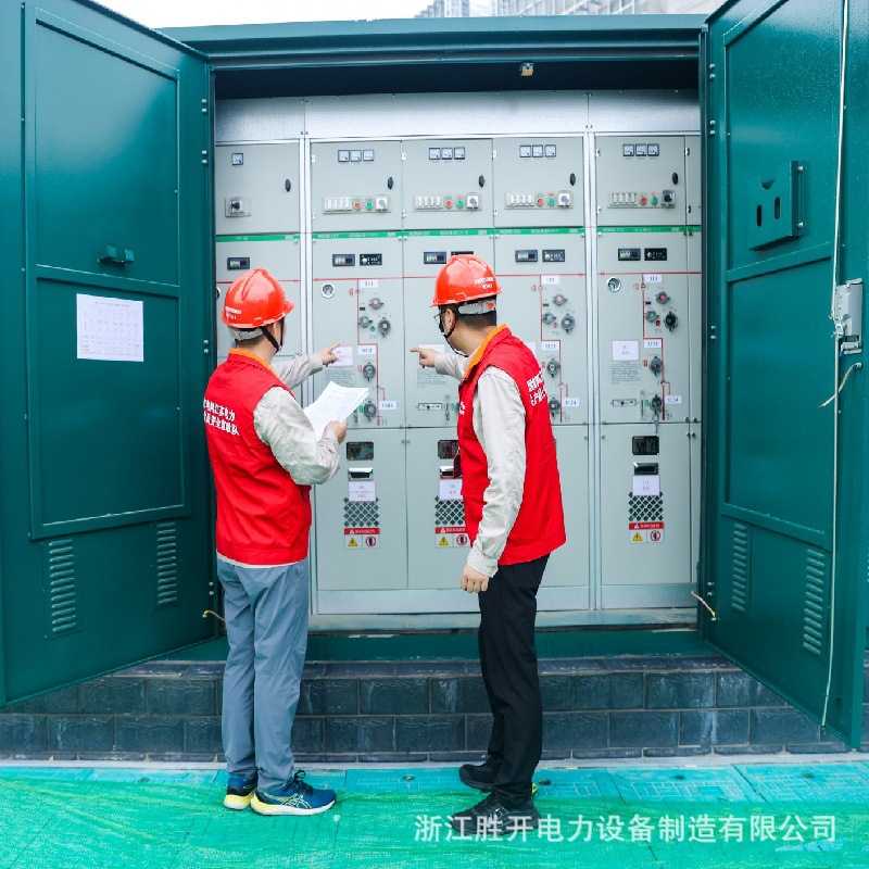 10kv高压环网充气柜全绝缘固体柜35kv带开关电缆分支箱成套开闭所