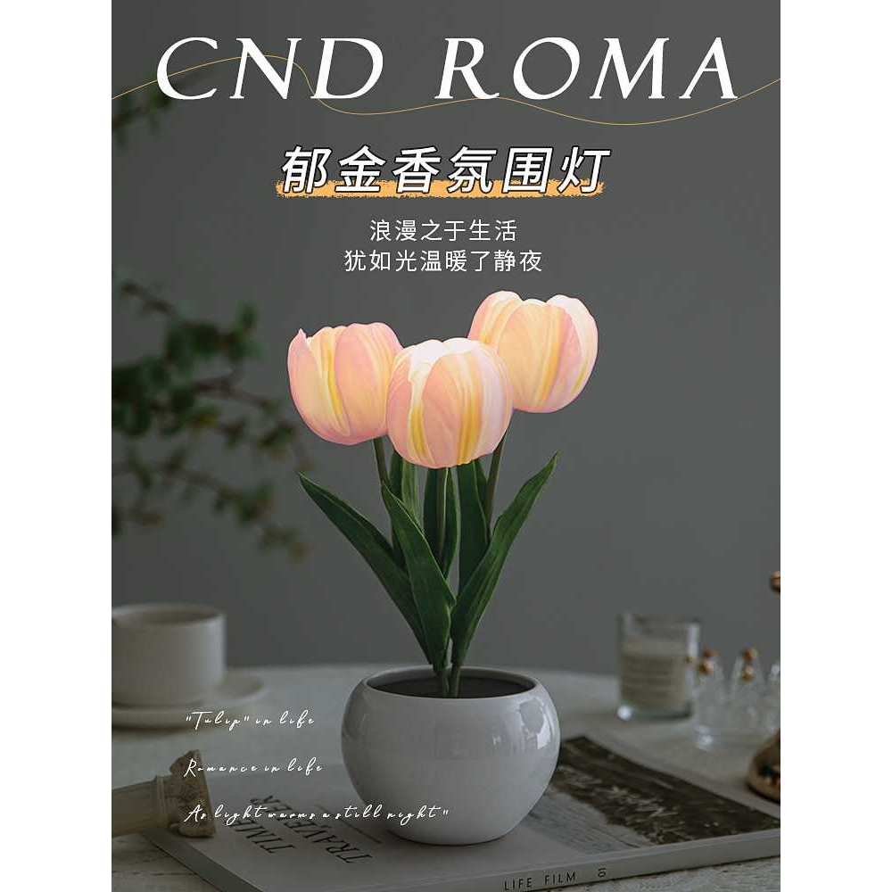 生日礼物送妈妈母亲节适合送长辈送老人给老年人婆婆实用的高级感