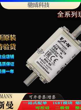 巴斯曼170M2678 170M2679 170M2680 长期 销售价优 低压熔断器