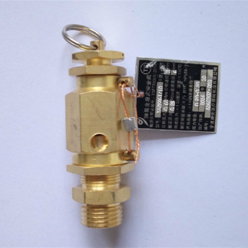 山东新华蒸发器安全阀医疗脉动真空灭菌器台式柜灭菌柜配件20 25