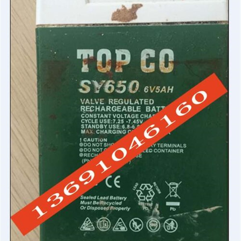 TOP CO蓄电池 SY650 6V5AH可坐宝宝遥控车 路虎极光玩具车电瓶