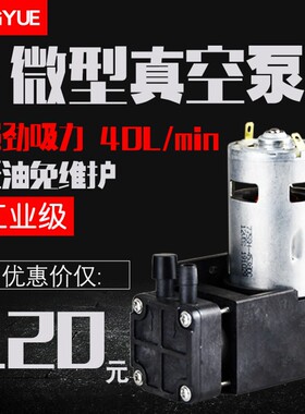 微型直流活塞真空泵40L大流量抽气打压玻璃修复C4有刷无刷负压泵