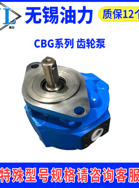 液压齿轮油泵CBGJ2040L 花键 CBK1020-A15FR JHP2063L
