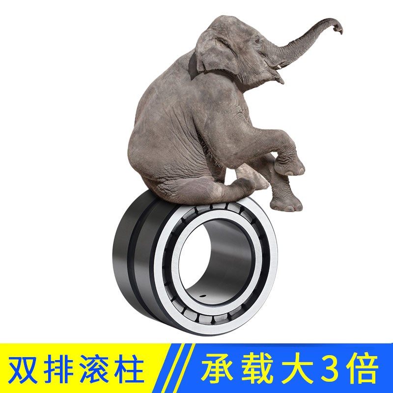 重载双排满滚柱圆柱滚子轴承NNCF/SL185004 5005 5006 5007 5008