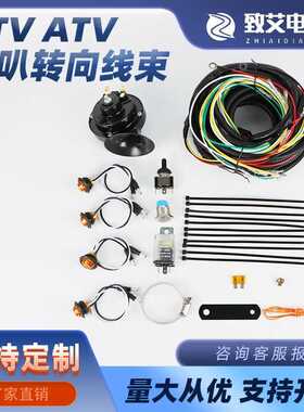 跨境商品12V UTV/ATV喇叭转向信号组合开关线束套件8个琥珀色灯
