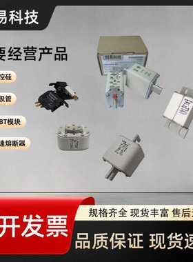 170M4764 170M4765 170M4766 170M4767 170M4768 170M4769 熔断器