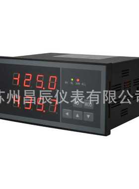 XSD2-CHRT1A1B1M2V0控制仪器 LED双通道数显表 数字显示报警仪器