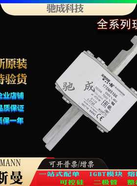 巴斯曼170M5174 170M5175 170M5176 现货供应厂价直供 高速熔断器