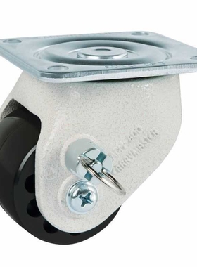 ACM 800F       中型法兰平脚轮