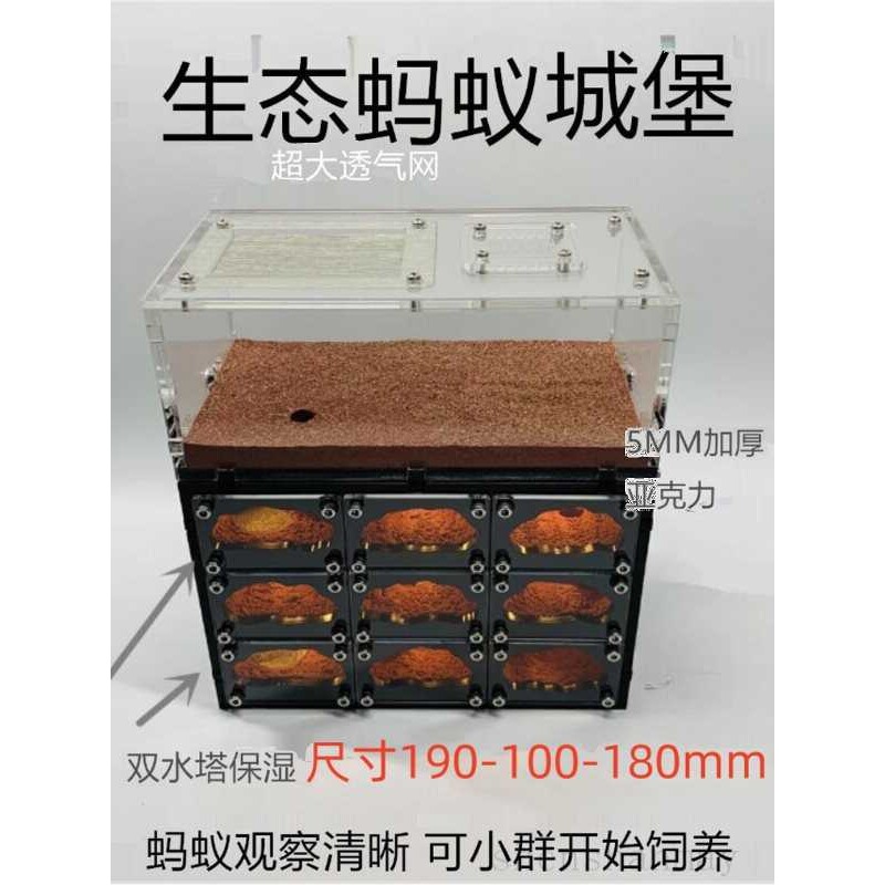 宠物蚂蚁工坊笼子繁蚁巢亚克力沙巢家园别墅宫殿