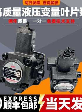 叶片泵液压站泵头VP-20-FA3叶片液压油泵总成VP-30/40-FA配件大全