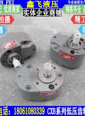 XCB-B2.5 XCB-B4 XCB-B6 XCB-B10低压带锯床专用齿轮油泵 液压泵