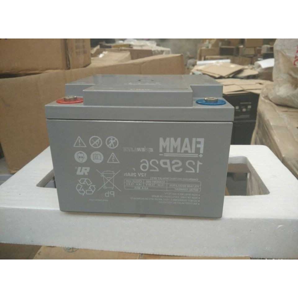 非凡蓄电池12SP90UPS蓄电池 非凡蓄电池12V90AH