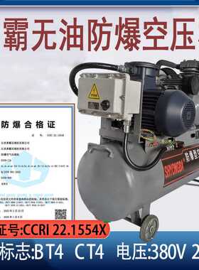 7.5KW高压防爆式空气压缩机  勇霸12.5公斤防爆气泵 第三方防爆认
