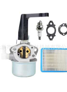 696065 697422化油器，布里格斯和斯特拉顿110402 110412 215