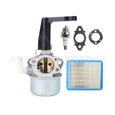 696065 697422化油器，布里格斯和斯特拉顿110402 110412 215