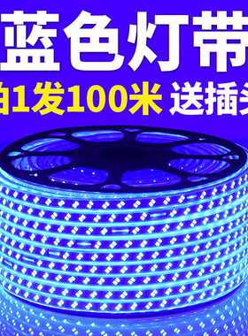 220V蓝色灯条超高亮天花吊顶KTV招牌灯箱装饰长条灯蓝光LED灯带