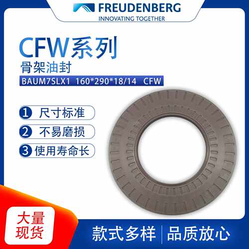 德国CFW原装BAUM7SLX1尺寸160*290*18/14骨架油封氟胶耐磨现货
