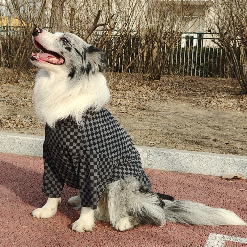 宠物狗狗衣服中大型犬金毛萨摩边牧打底衫春秋季防脏防掉毛二脚衣