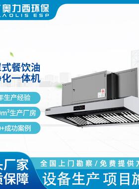 低空直排油烟净化一体机厨房饭店不锈钢餐饮烟罩式油烟净化设备