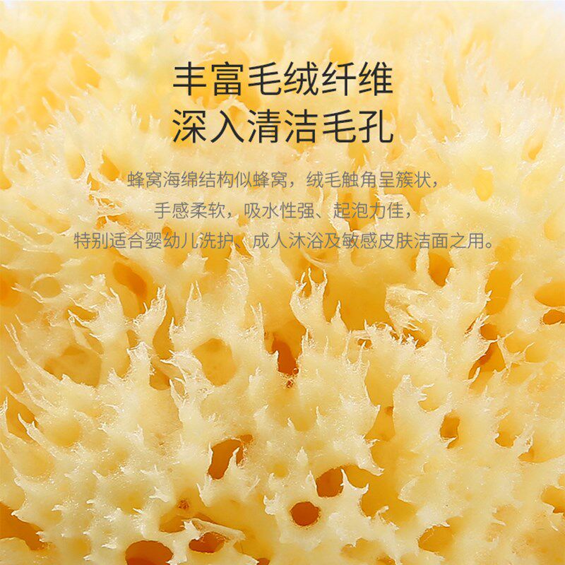 希腊进口天然海绵成人洗澡沐浴球搓澡巾浴花浴巾天然蜂窝海绵大号
