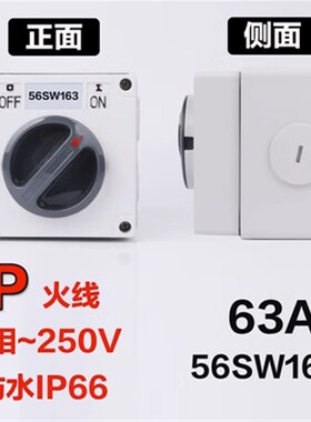 澳标防水开关56SW110/320隔离户外1P2P3P4P5P 10A20A32A40A50A63A