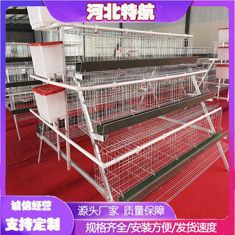 阶梯蛋鸡笼A型镀锌丝鸡笼立式养鸡设备鸡舍多层鸡窝加粗鸡笼底网