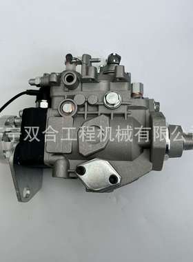 燃油柴油泵总成096000-4861 VE4/10F2200RND486 VE4/12F1150L954