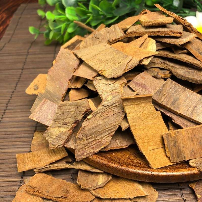 基地 人工培育南方红豆杉树根树皮枝条原辅料红豆杉阴干树丫枝